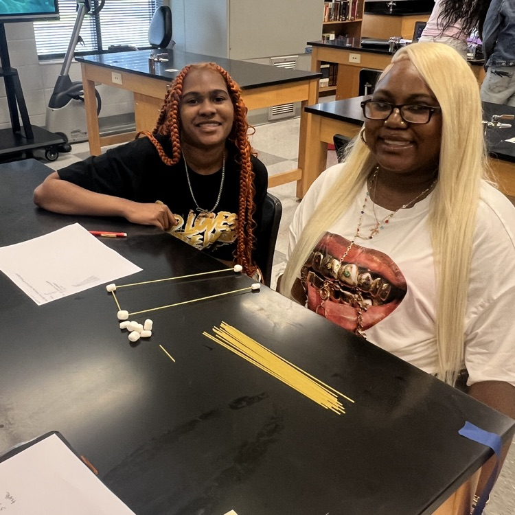 Mrs. Logue’s class used the engineering design process to research, design, and build spaghetti towers. They competed to see which team could create the tallest free standing tower!