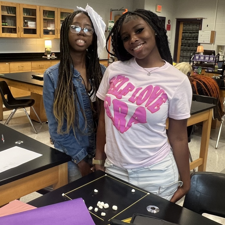 Mrs. Logue’s class used the engineering design process to research, design, and build spaghetti towers. They competed to see which team could create the tallest free standing tower!