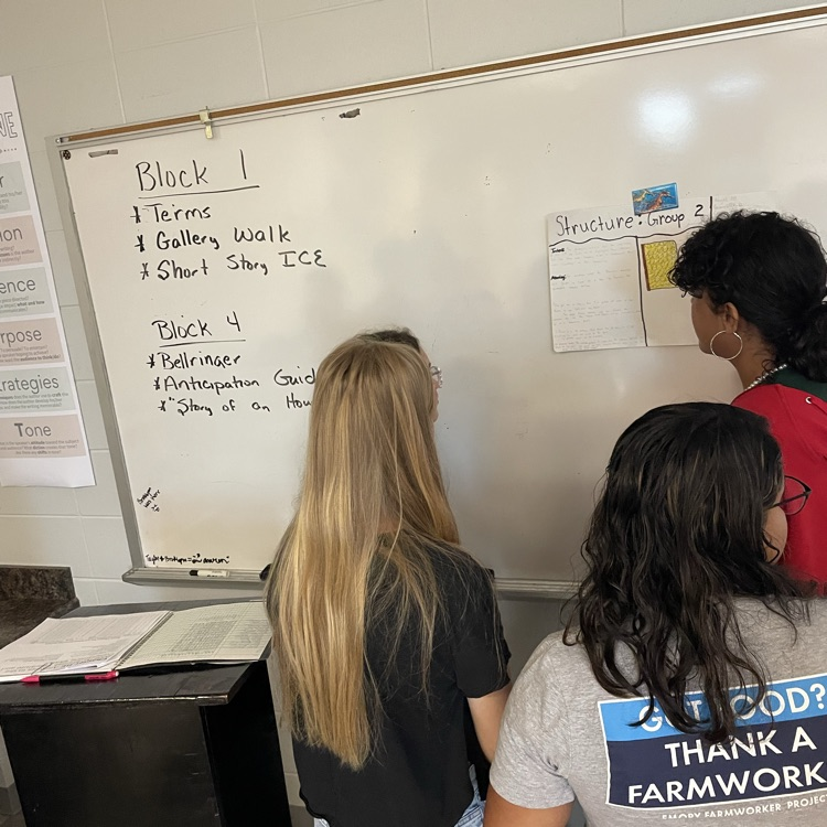 AP Lit students complete a gallery walk where they view their classmates' analysis of five skills using "The Yellow Wallpaper."