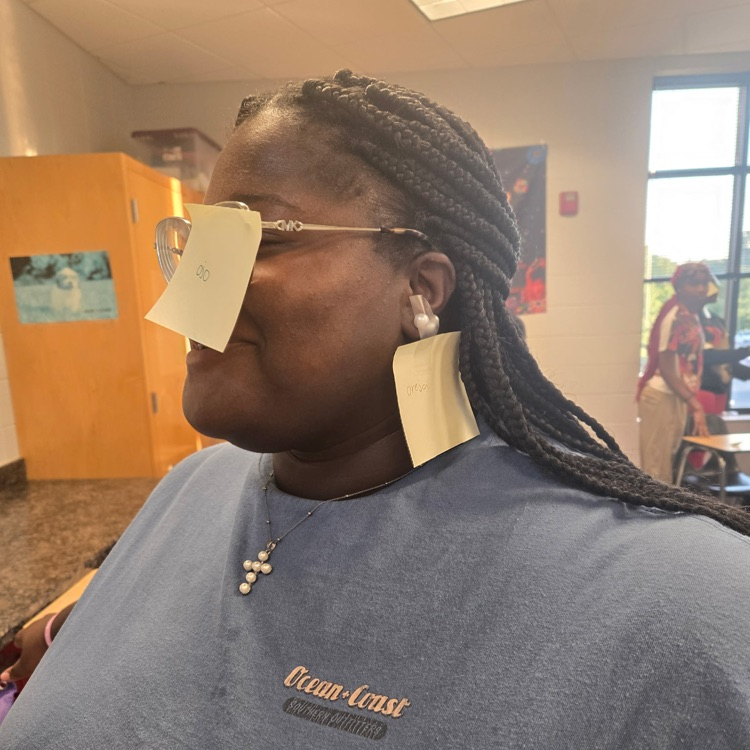 Students in Mrs. Wallace's Spanish 1 class reviewed the body parts by labeling their classmates using the Spanish words. 