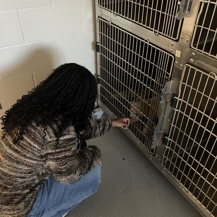 The Anchor Club is excited to partner with the Bainbridge-Decatur County Humane Society.  Members can't wait to help with all aspects of volunteering. 