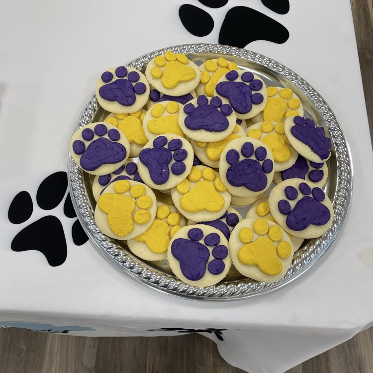 The Anchor Club is excited to partner with the Bainbridge-Decatur County Humane Society.  Members can't wait to help with all aspects of volunteering. 