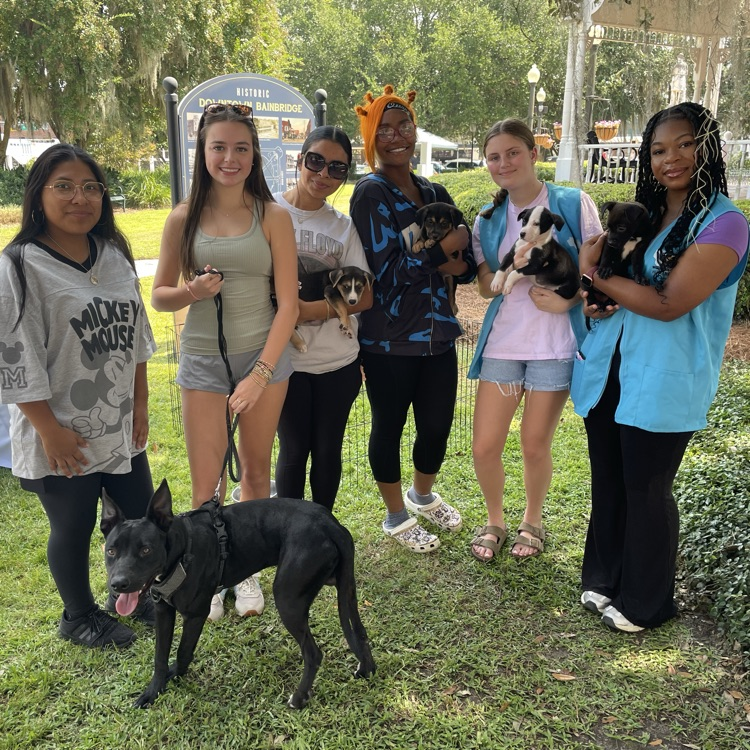 Anchor Club members helped the Humane Society at Rivers South by encouraging people to adopt some precious puppies and a cool older dog. They also stressed the importance of spaying/neutering pets.