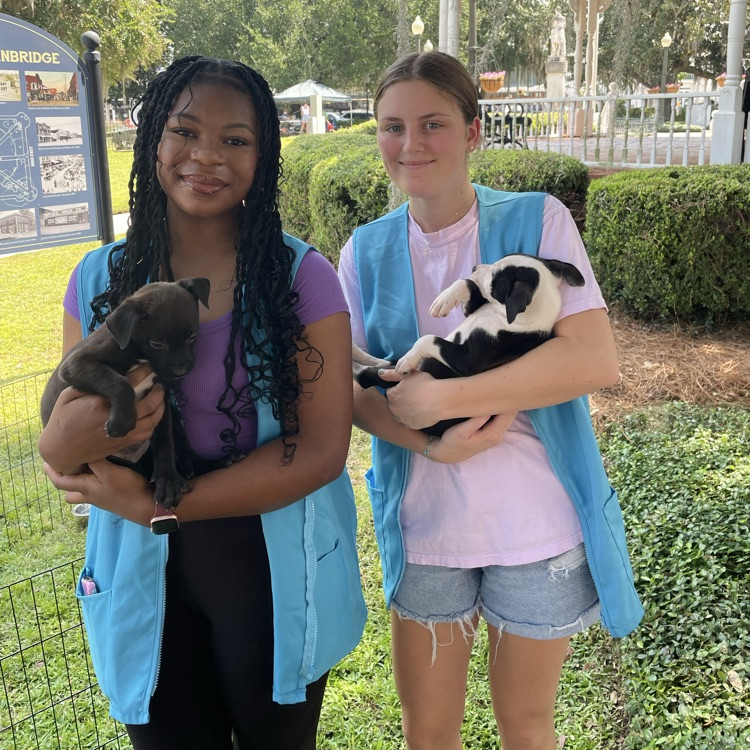 Anchor Club members helped the Humane Society at Rivers South by encouraging people to adopt some precious puppies and a cool older dog. They also stressed the importance of spaying/neutering pets.