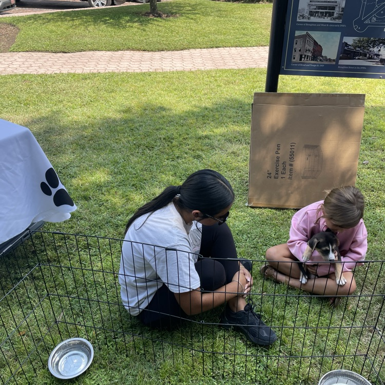 Anchor Club members helped the Humane Society at Rivers South by encouraging people to adopt some precious puppies and a cool older dog. They also stressed the importance of spaying/neutering pets.