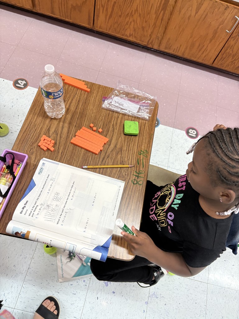 picture of student working with math manipulatives