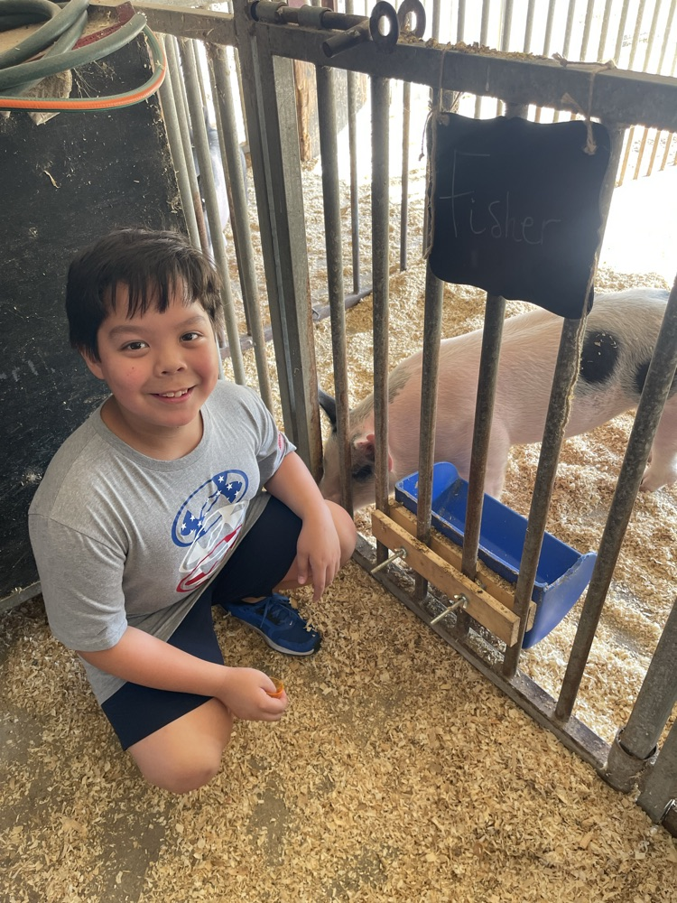 farm animals