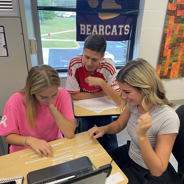 AP Lit students piece together a poem to help them understand the structure of a sonnet.