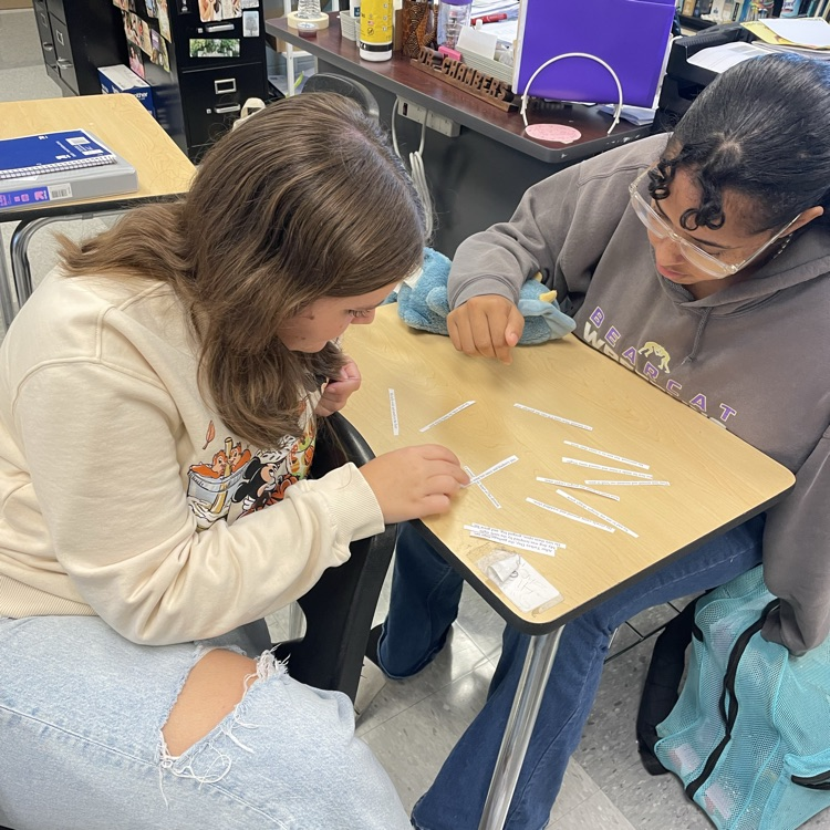 AP Lit students piece together a poem to help them understand the structure of a sonnet.