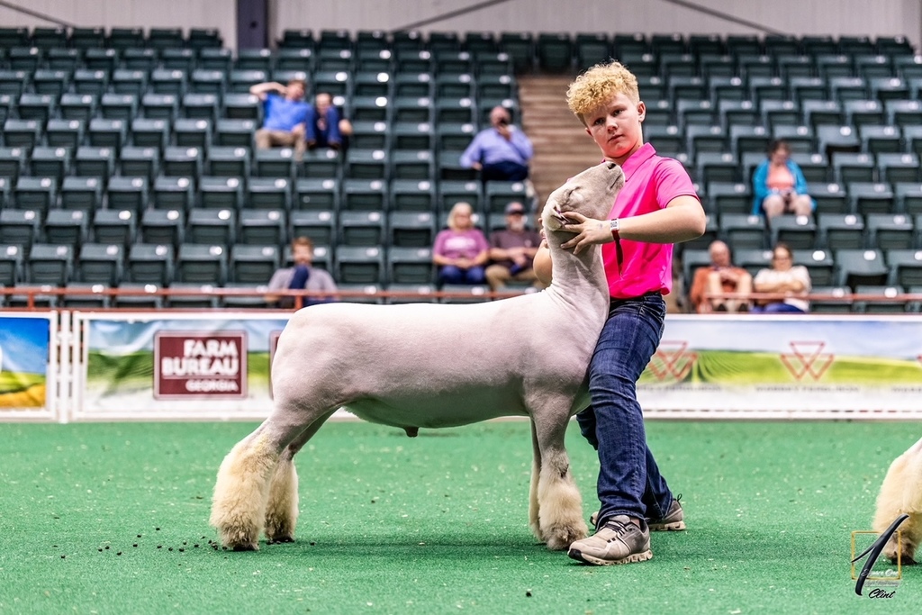Charlie Griffin with his livestock from the 2025 GA National Fair