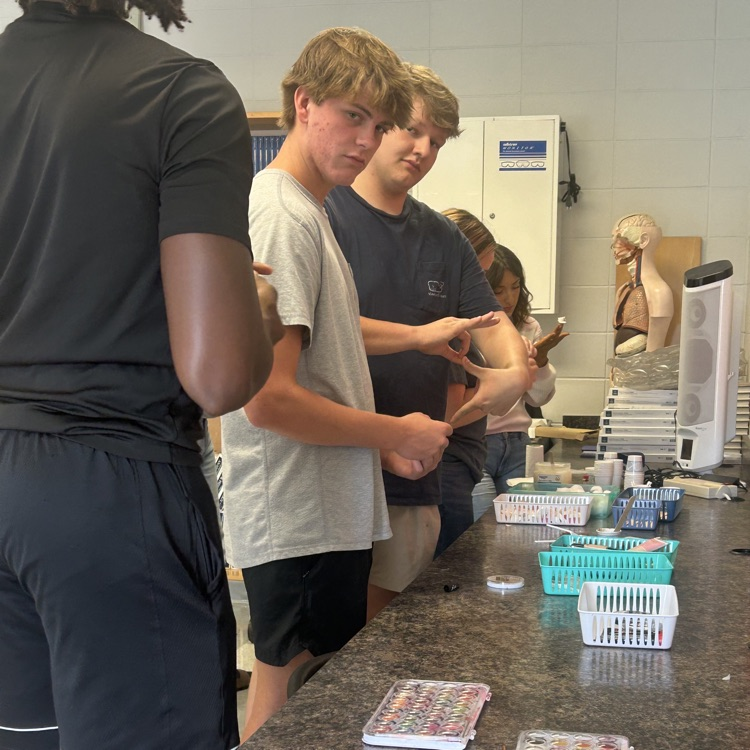 Anatomy students get ready for Halloween while learning about wound care. No injuries actually occurred!