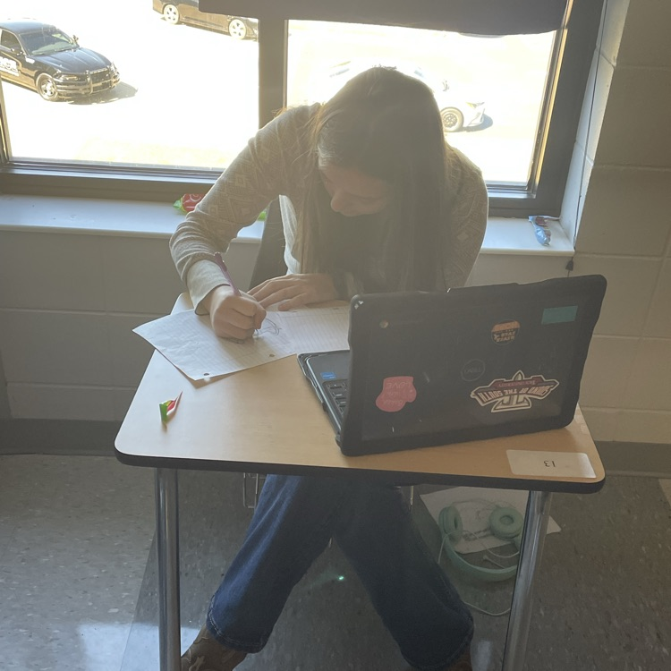 English II students practice using rhetorical strategies to sell the products or services they designed