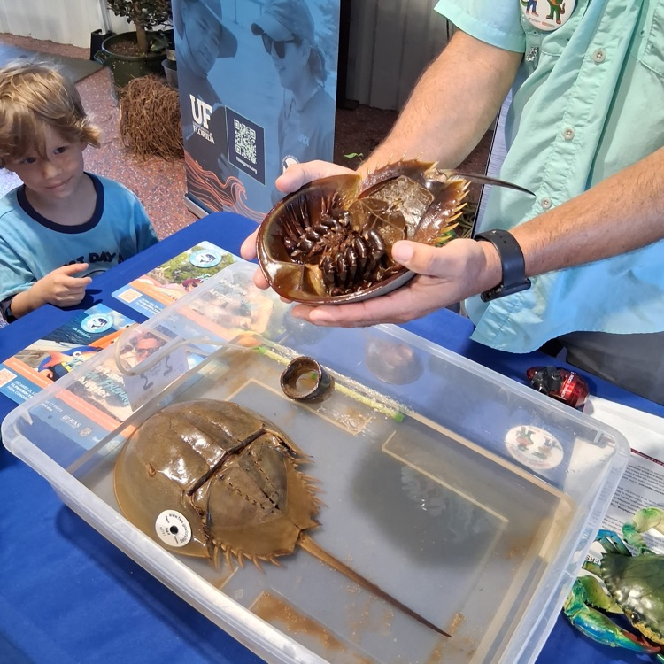 FFA members got to attend the Sunbelt Ag Expo on Wednesday