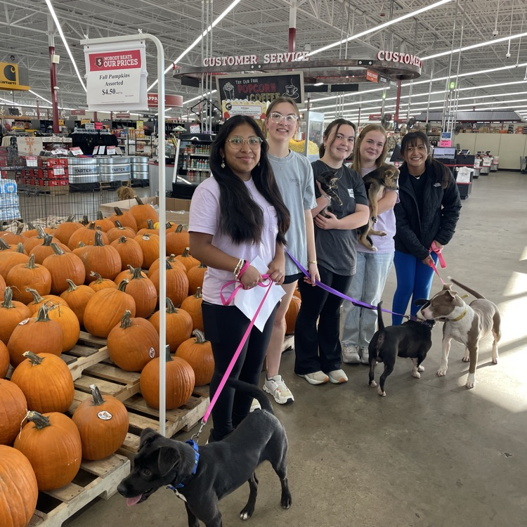 Anchor Club members helped the Humane Society at their adoption events at Rural King and Pet Sense today. 