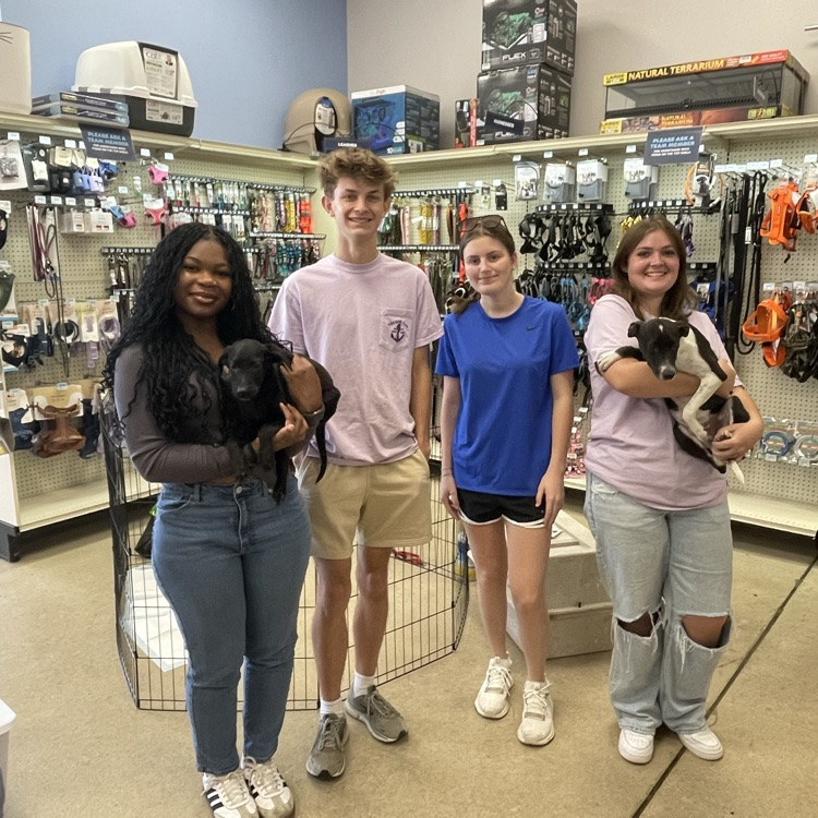 Anchor Club members helped the Humane Society at their adoption events at Rural King and Pet Sense today. 
