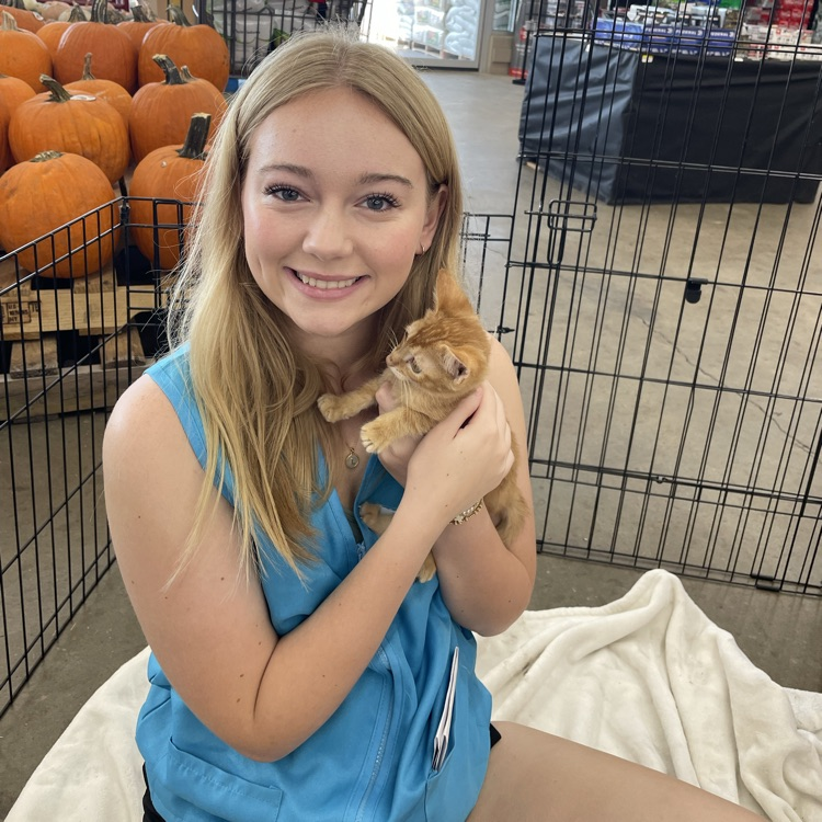 Anchor Club members helped the Humane Society at their adoption events at Rural King and Pet Sense today. 