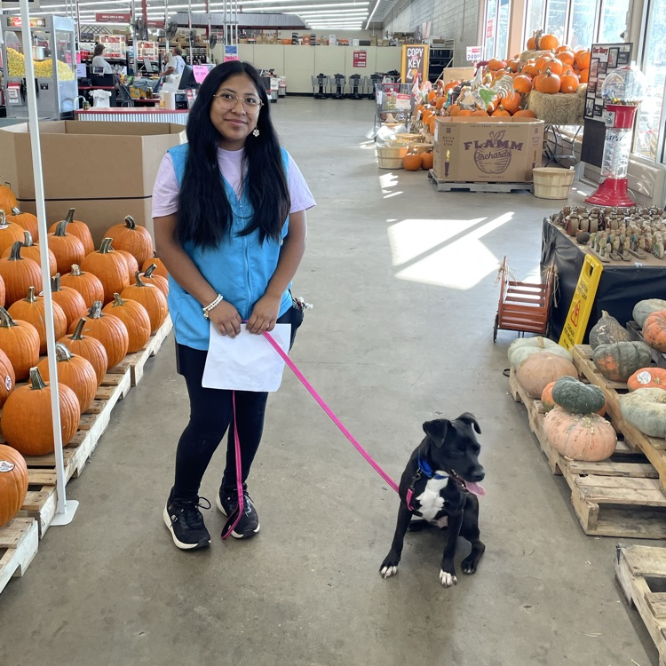 Anchor Club members helped the Humane Society at their adoption events at Rural King and Pet Sense today. 