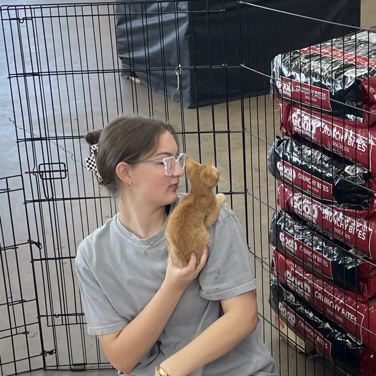 Anchor Club members helped the Humane Society at their adoption events at Rural King and Pet Sense today. 