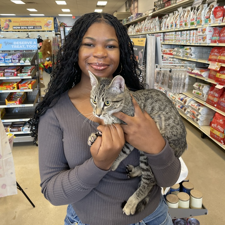 Anchor Club members helped the Humane Society at their adoption events at Rural King and Pet Sense today. 