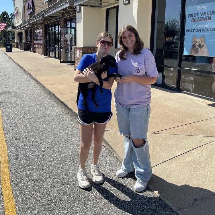 Anchor Club members helped the Humane Society at their adoption events at Rural King and Pet Sense today. 
