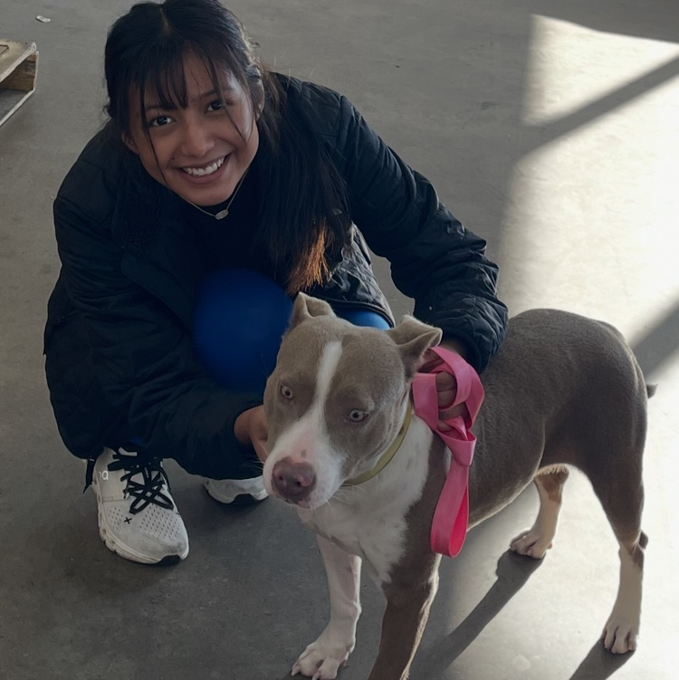 Anchor Club members helped the Humane Society at their adoption events at Rural King and Pet Sense today. 