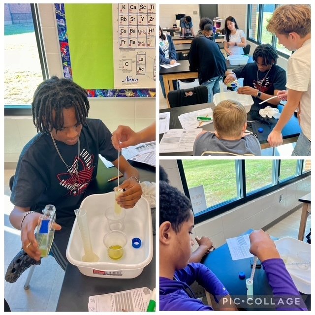 Groups of students work together to find algae in science class. 