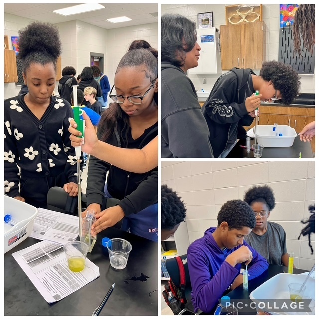 Groups of students work together to find algae in science class. 