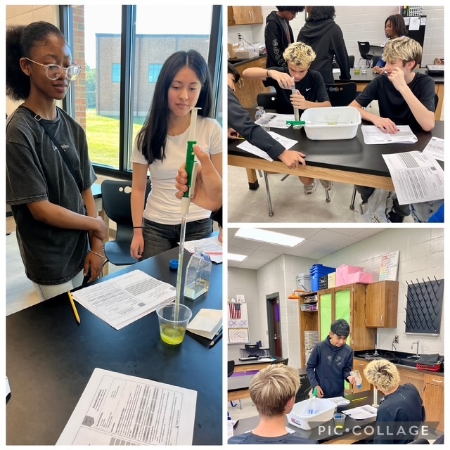 Groups of students work together to find algae in science class. 