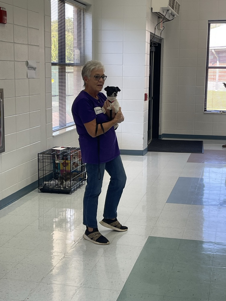 Humane Society Initiative