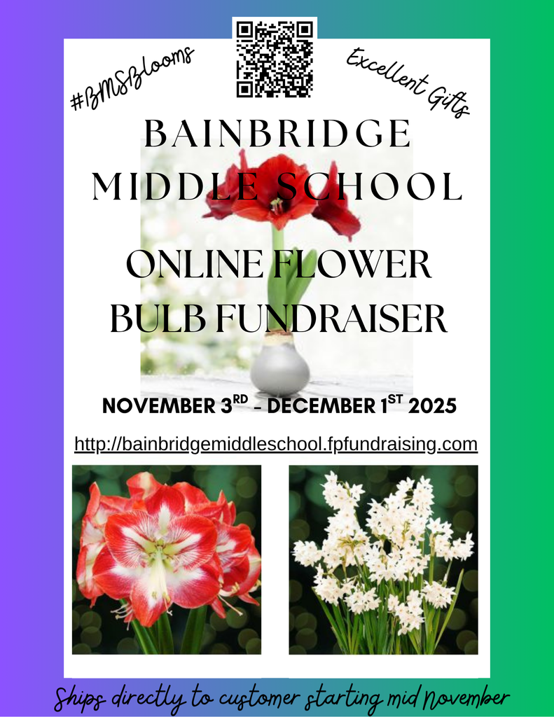 BMS Online Bulb fundraiser will be Nov 3-Dec 1st. Visit the link or scan the QR code to support.