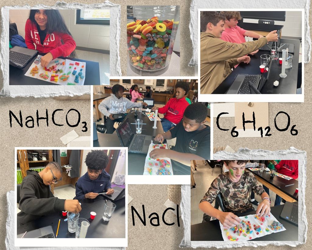 Students in Ms. Rambo's 8th Grade Science Class working on hands on learning.