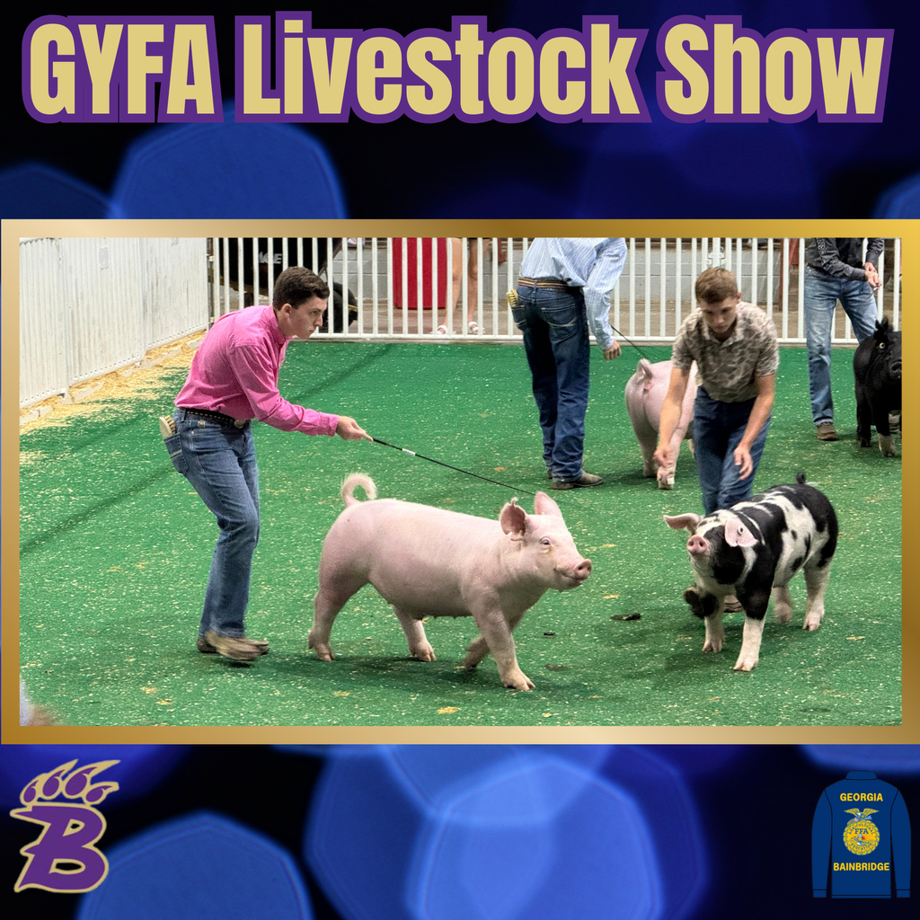 Preston Lynn exhibited his livestock at the Georgia Young Farmer Association Show.