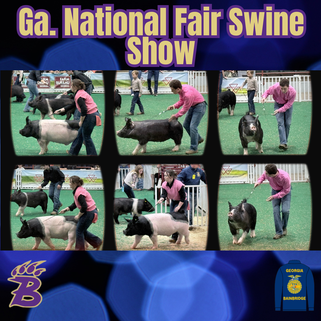 Bailee Brock and Preston Lynn showing pigs at the Georgia National Fair.