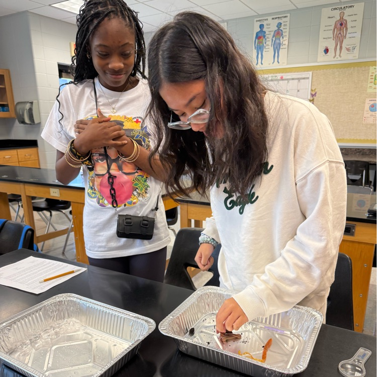 Ms. Kirklands biology students completed a lab to determine the characteristics of life using live worms and fake worm models. Students had to determine what made the live worms living using their knowledge of the 8 characteristics of life.