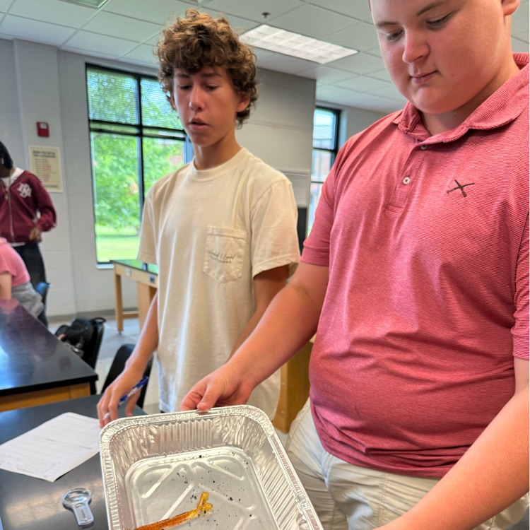 Ms. Kirklands biology students completed a lab to determine the characteristics of life using live worms and fake worm models. Students had to determine what made the live worms living using their knowledge of the 8 characteristics of life.