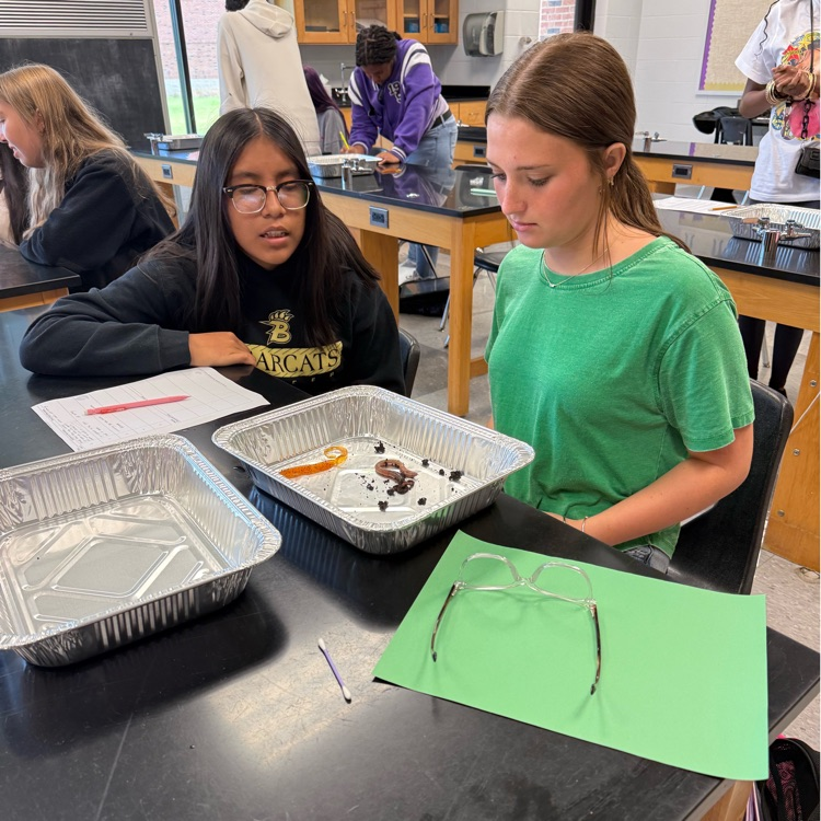 Ms. Kirklands biology students completed a lab to determine the characteristics of life using live worms and fake worm models. Students had to determine what made the live worms living using their knowledge of the 8 characteristics of life.