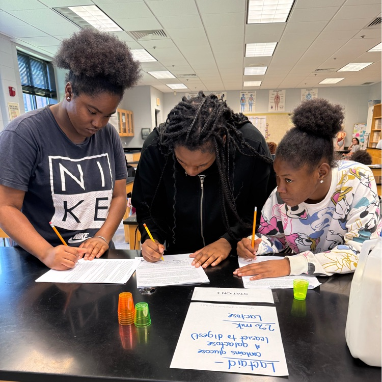 Biology students completed an enzyme stations lab to learn how enzymes work in an organism. Students demonstrated how enzymes work by studying their function and the factors that affect their activity.