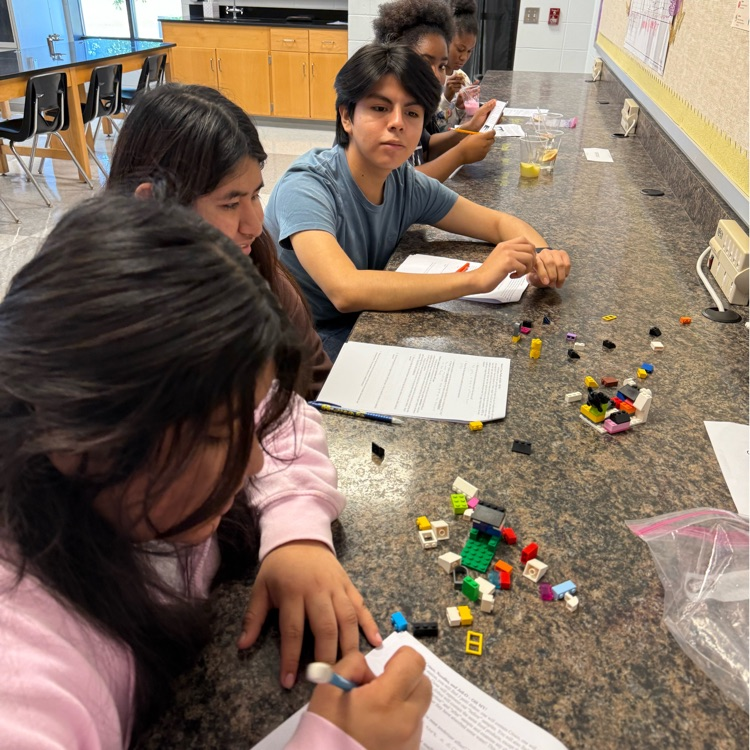 Biology students completed an enzyme stations lab to learn how enzymes work in an organism. Students demonstrated how enzymes work by studying their function and the factors that affect their activity.
