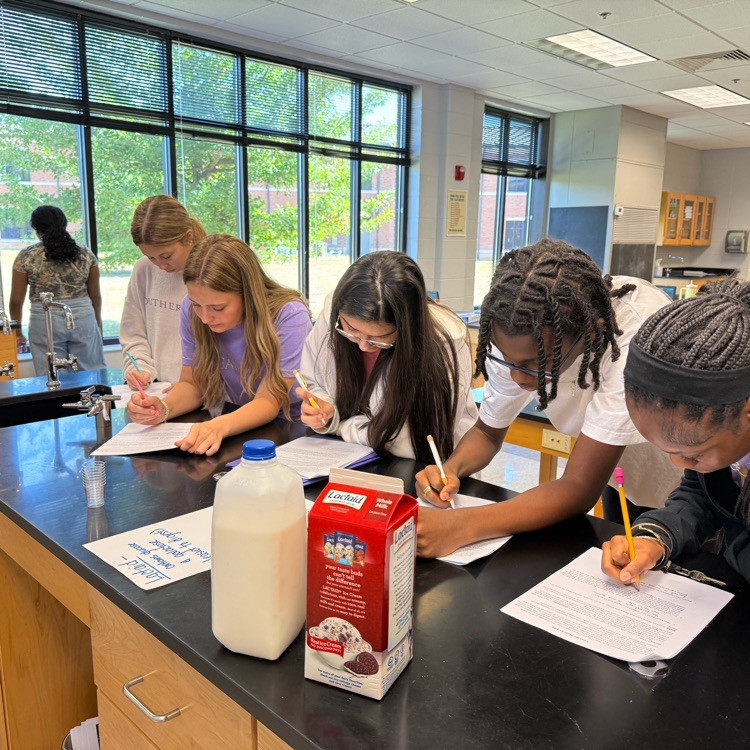 Biology students completed an enzyme stations lab to learn how enzymes work in an organism. Students demonstrated how enzymes work by studying their function and the factors that affect their activity.