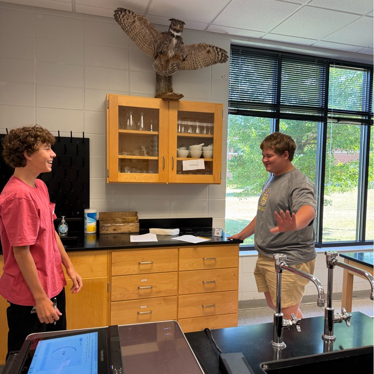 Biology students completed an enzyme stations lab to learn how enzymes work in an organism. Students demonstrated how enzymes work by studying their function and the factors that affect their activity.