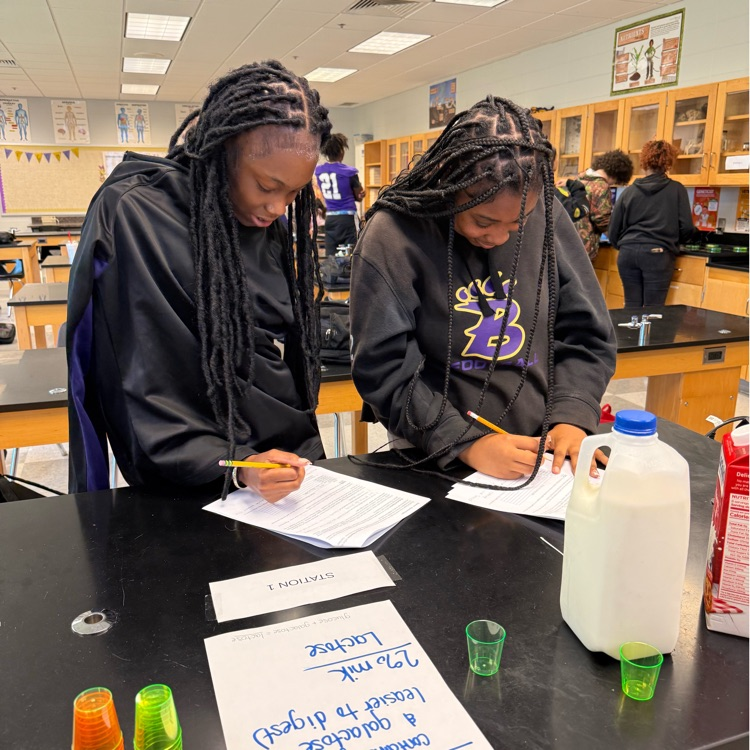 Biology students completed an enzyme stations lab to learn how enzymes work in an organism. Students demonstrated how enzymes work by studying their function and the factors that affect their activity.