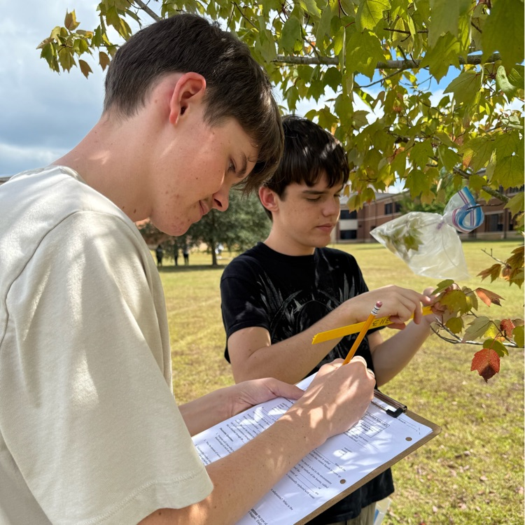 Ma. Kirkland's biology students completed a transpiration lab which was to study the process of water movement in plants and how it is affected by different factors.