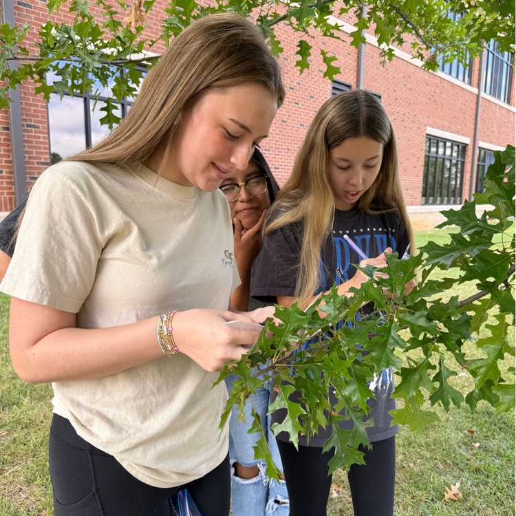 Ms. Kirkland's biology students completed a transpiration lab which was to study the process of water movement in plants and how it is affected by different factors.