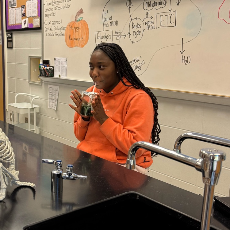 Biology students blew bubbles in a beaker to demonstrate how increased physical activity affects the body’s cellular respiration rate.