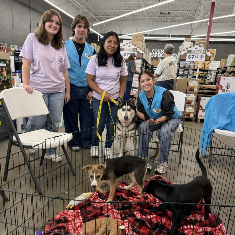 A group of four students wearing matching shirts and vests smile while standing behind a small fenced area with several dogs on a red and black blanket during an adoption or community event inside a store.