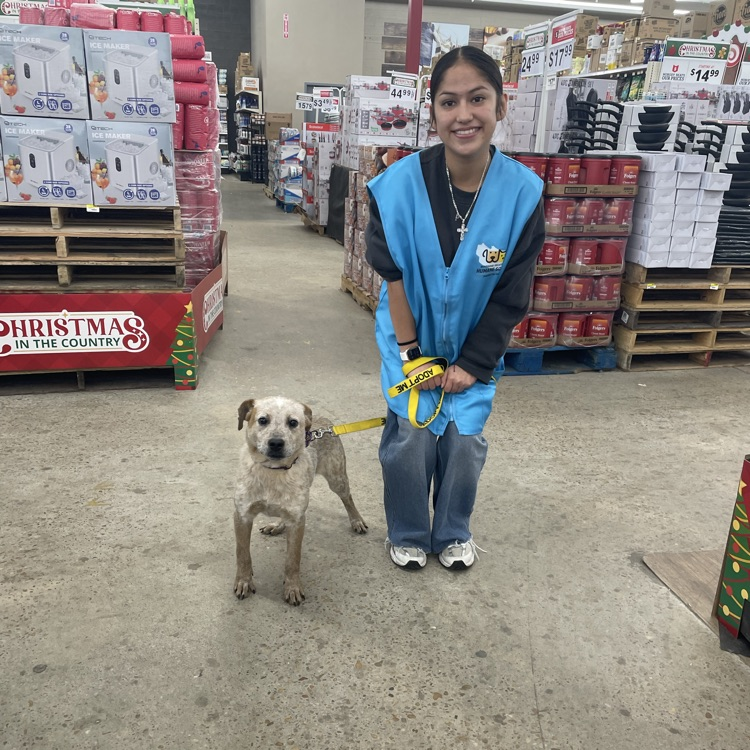 Anchor Club members helped with a Humane Society adoption event at Rural King today.  