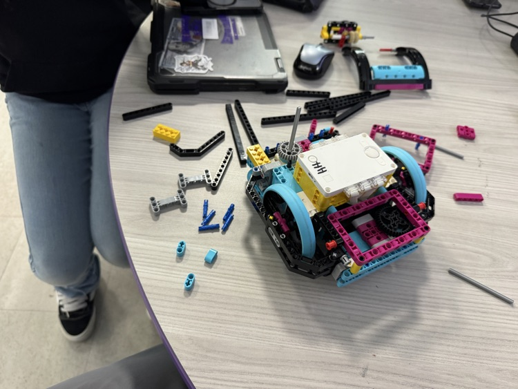 what have we done!!!