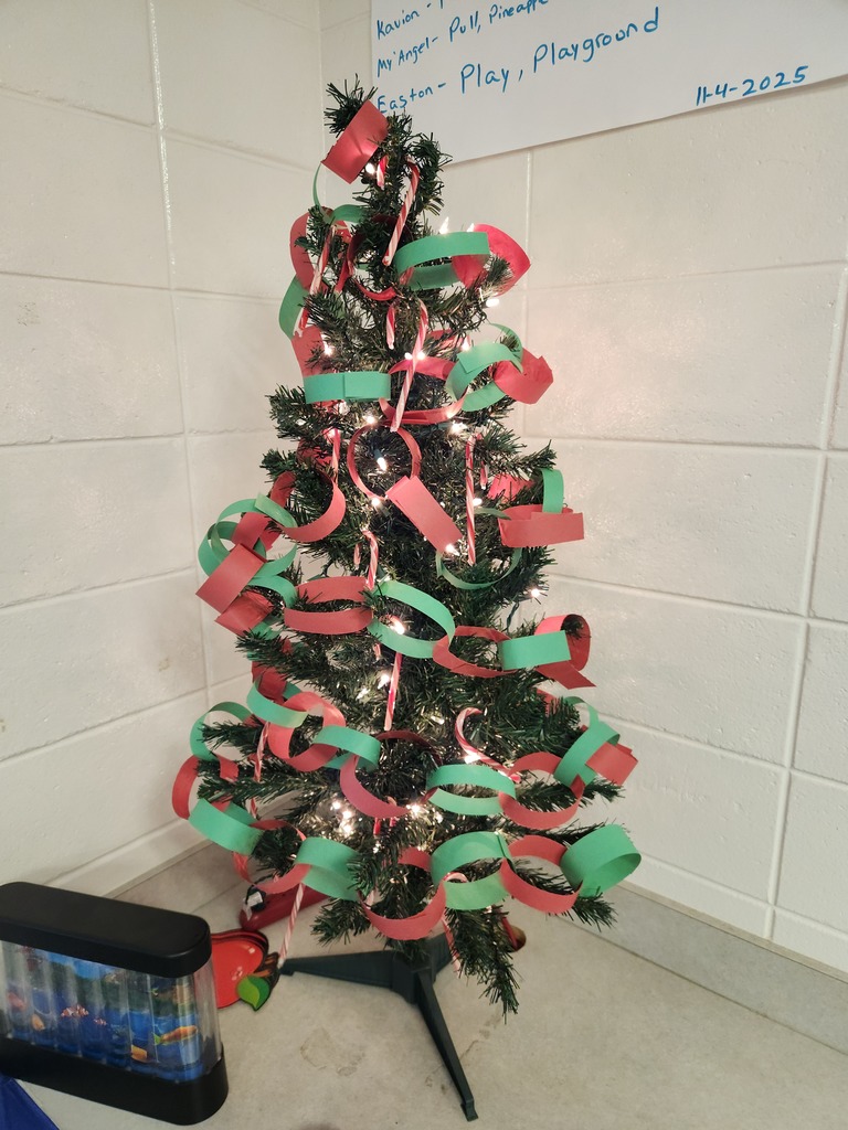 IT STARTING TO LOOK LIKE CHRISTMAS IN MR. ALDAY'S ROOM!!!