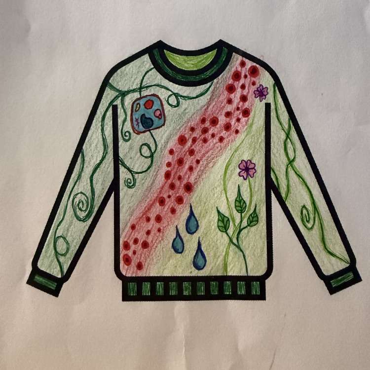 Ms. Kirklands classes designed ugly Christmas sweaters- biology style. 