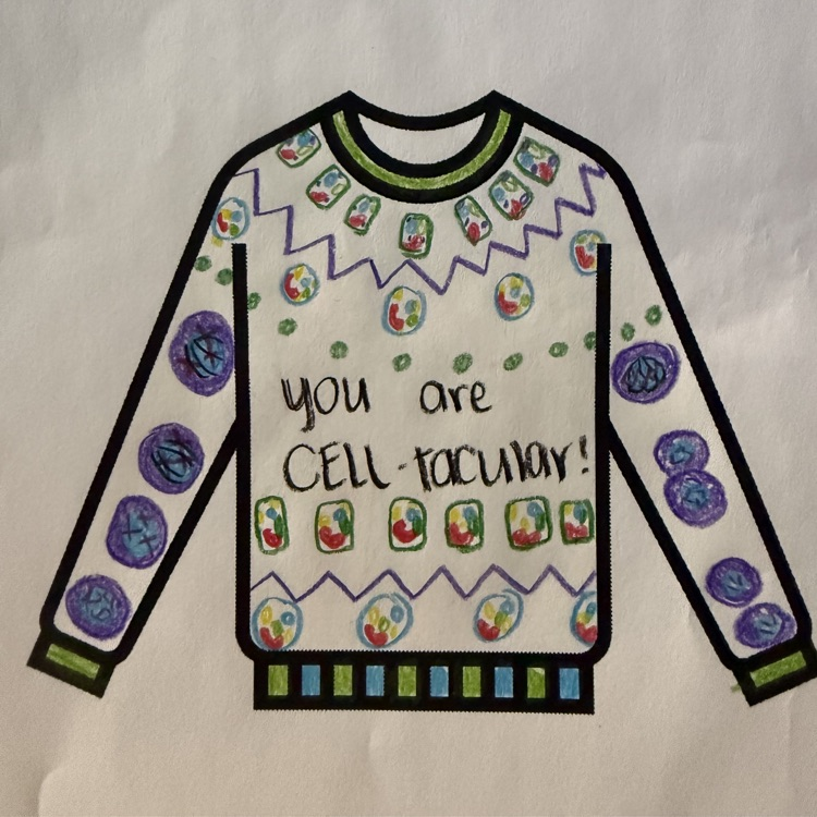 Ms. Kirklands classes designed ugly Christmas sweaters- biology style. 